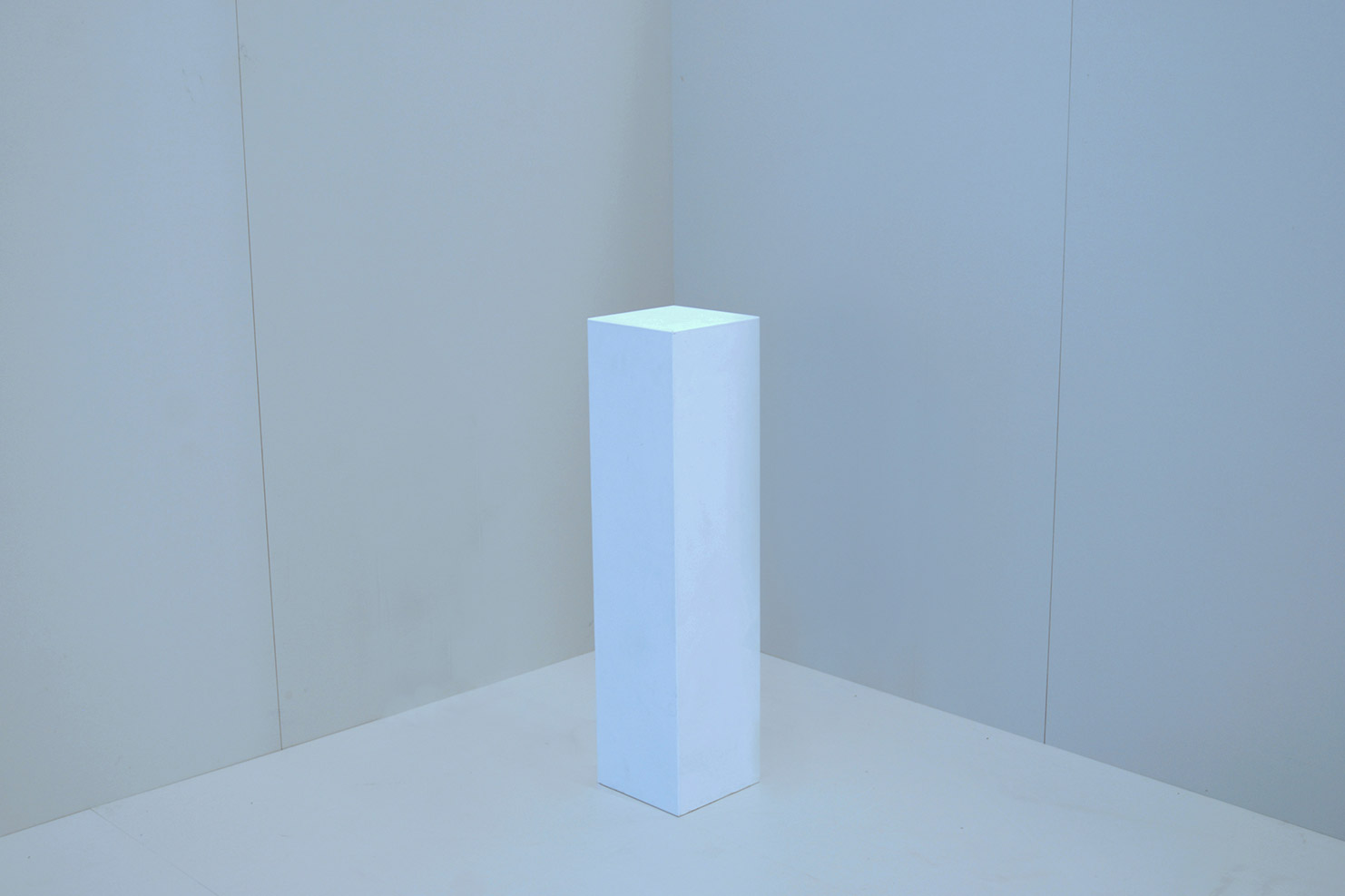 Gland. Photograph by Dorothea Tuch, 2014